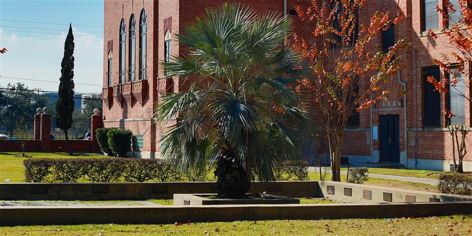 Campus 